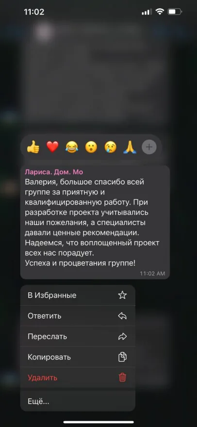Отзыв Ларисы — скриншот переписки: «большое спасибо всей группе за приятную и квалифицированную работу»
