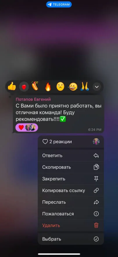 Отзыв Евгения — скриншот переписки: «С Вами было приятно работать, вы отличная команда»
